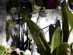 18, お尻, フェラチオ, ゲーム, Hd, 異人種間, オマンコ, 妻