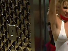 Group of singles enjoyed massive orgy in Playboy mansion