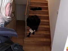 Lamer culo, Cuarto de baño, Tetas grandes, Mamada, Estilo perrito, Al aire libre, Coño, Voyeur