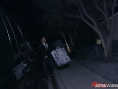 Жопа, Бондаж, Семяизвержение, Собачьи, Доминирование, Вечеринка, Порка, Влажная