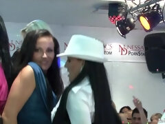 Tussi, Verrückt, Erotisch, Handjob, Hardcore, Orgie, Party, Titten