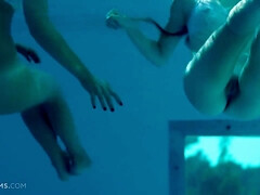 Schönheit, Blondine, Blasen, Braunhaarige, Klassisch, Schwanz, Hd, Lesbisch