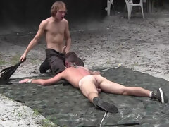 Геи