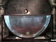 Bondage discipline sadomasochisme, Hd