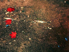 Culo grande, Estilo perrito, Tacones, Latina, Lamidas, Afeitado, Tatuaje, Tetas