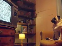 Leie, Arsch, Schönheit, Hd, Lesbisch, Lecken, Muschi, Titten