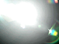 Lieveling, Grote kont, Grote mammen, Pijpbeurt, Stel, Hondjeshouding, Hardcore, Realiteit