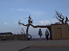 Amateur, Público, Solo