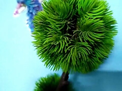 Salle de bains, Couple, Domination, Hd, Époux mari, Masturbation, Chatte, Vibromasseur