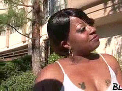 Анальный секс, Толстушки, Большой член, Черные, Черненькие, Лизание