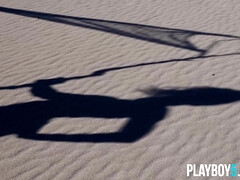 Kont, Lieveling, Bruinharig, Europees, Harig, Klein, Kut duiken, Alleen