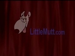 エロティック, マッサージ