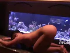 指いじり, Hd, レズビアン, なめる, パーティ, オマンコ