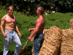 フェラチオ, ゲイ, Hd, 筋肉, アウトドア