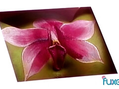 Анальный секс, Жопа, Большие сиськи, Семяизвержение, Две девушки, Милф, Мамочка, Втроем