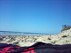 Любители, Пляж, Ласковые ручки, На природе